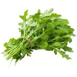 Fresh Rocket Bunch