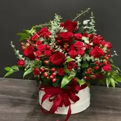 بۆکسی گوڵی سروشتی