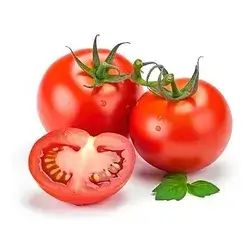 Penjuin Tomato
