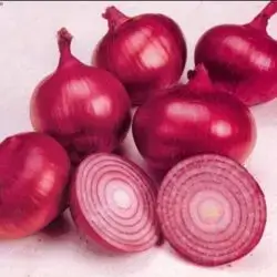 Crystal Onion