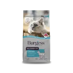 Burgess - Neutered Cat With Chicken