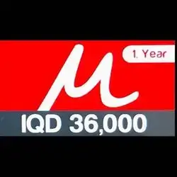 UNITED MIXMEDIA 1 Year