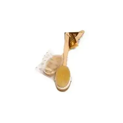 Aqua Massage Sponge Bath Brush F1pc