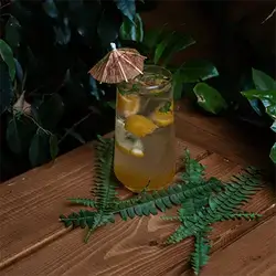 Mango Mojito