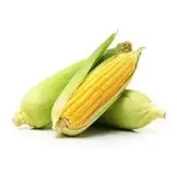 Fresh Sweet Corn Kg