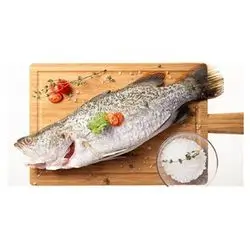 Fresh Seabass 400/600g Kg