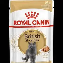 Royal Canin british shorthair adult pouch
