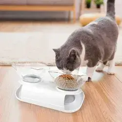 Dual Bowl