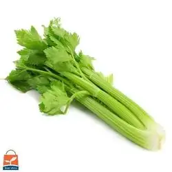 Large celery