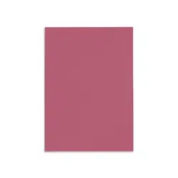canson paper 70 x50cm - -fucsia