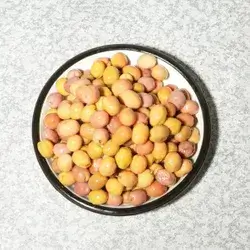 Plain Palestinian olives