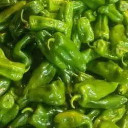 Pepper