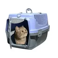 Pet Carriage