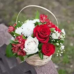 Mix Basket