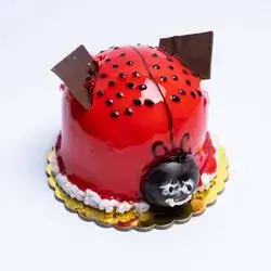 Ladybug Cake