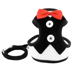 E218 pet harness with leash
