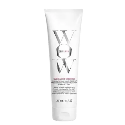 Color Security Conditioner for Normal to Thick Color Treated Hair 250ml _ COLOR WOW