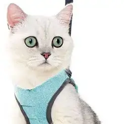 Soft Leash & Harness L