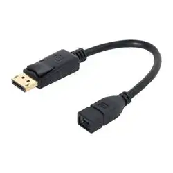 Onten DisplayPort Adapter DP108 - 30cm