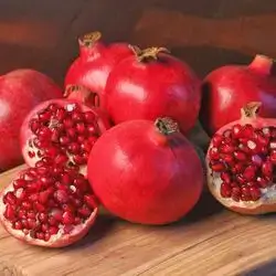 Egyptian Pomegranate