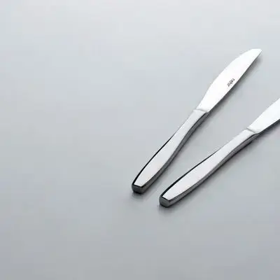 Sahra Dinner Knife 2-Pieces