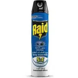 Raid Insect Killer 5in1 Odorls300ml