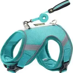 Soft Leash & Harness L