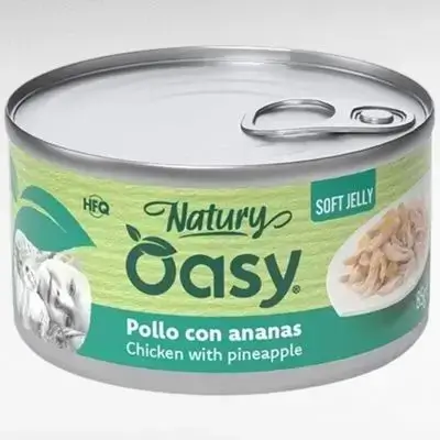 Oasy Chicken & Pineapple 150g