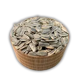 Sun seeds salt
