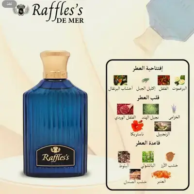 Raffles's DE MERR