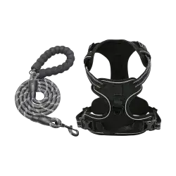 Leash & Harness XL