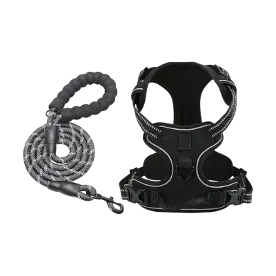 Leash & Harness XL