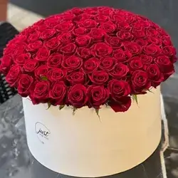 Flower Box 