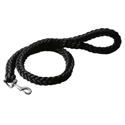 Dog Leash M