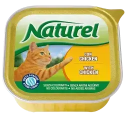 For Adult Cat With Chicken Flavour 100