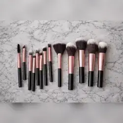 12pcs Color Block Makeup Brush Set