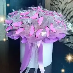 Butterfly Box