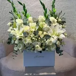 Lily Box