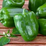 Sweet Pepper