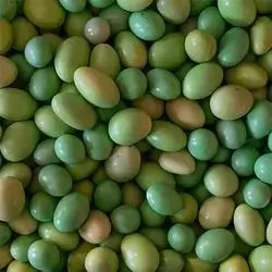 Turkish Badamli