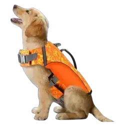 Dog Life Jacket S