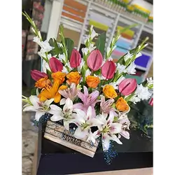 Basket Flower