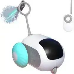 Car Remote Control