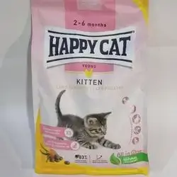 Happy Cat