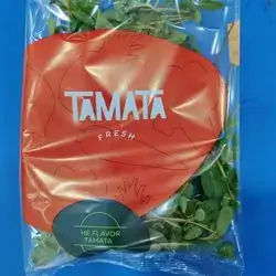 Packaged Mint