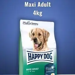 Happy Dog