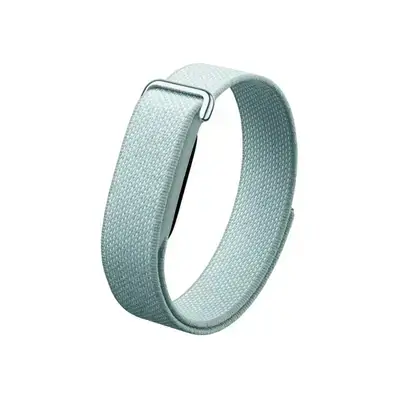 Google Fitbit Air - Screenless Activity Tracker with Fitness, Heart Rate(Silver Edition)