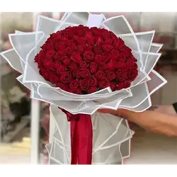 100 Rose