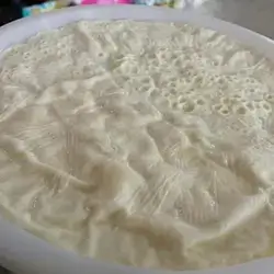 Sheep Yogurt 2 Kilos