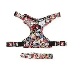 Leash & Harness M